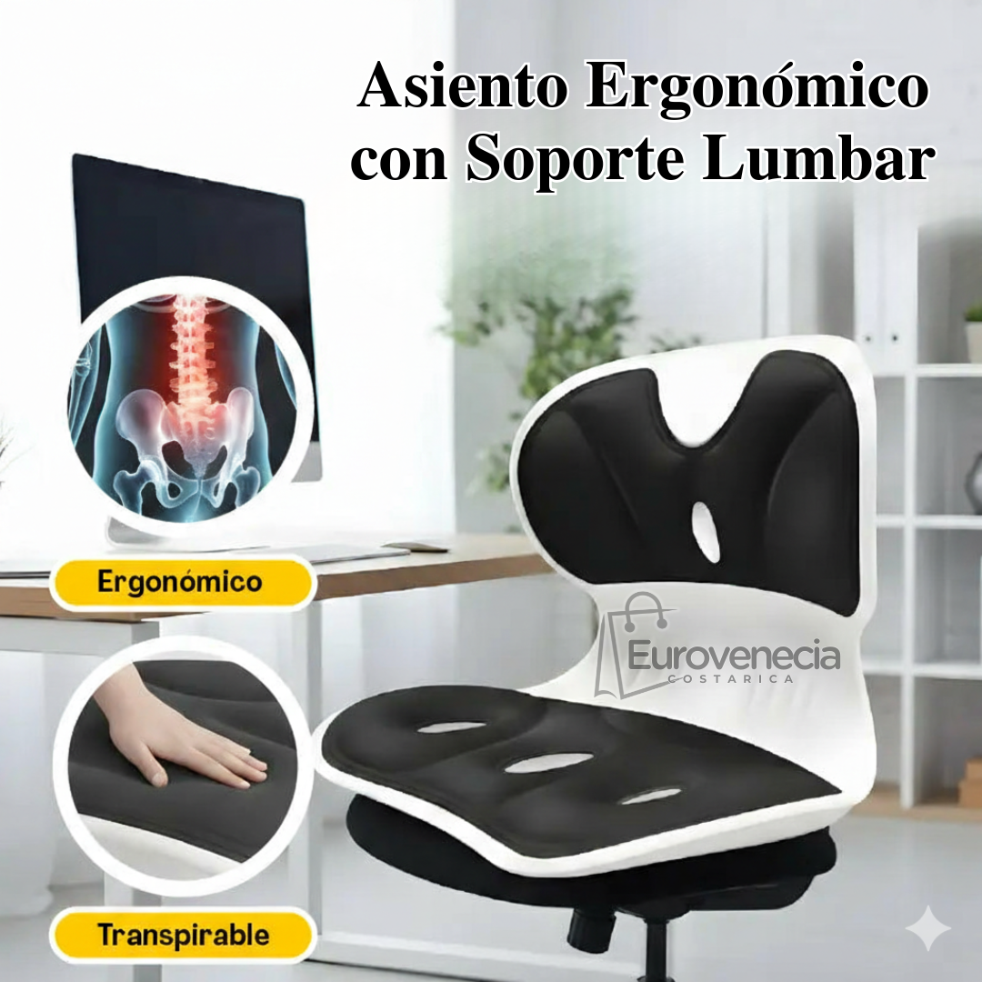 𝐀𝐬𝐢𝐞𝐧𝐭𝐨 𝐄𝐫𝐠𝐨𝐧𝐨𝐦𝐢𝐜𝐨 𝐜𝐨𝐧 𝐒𝐨𝐩𝐨𝐫𝐭𝐞 𝐋𝐮𝐦𝐛𝐚𝐫