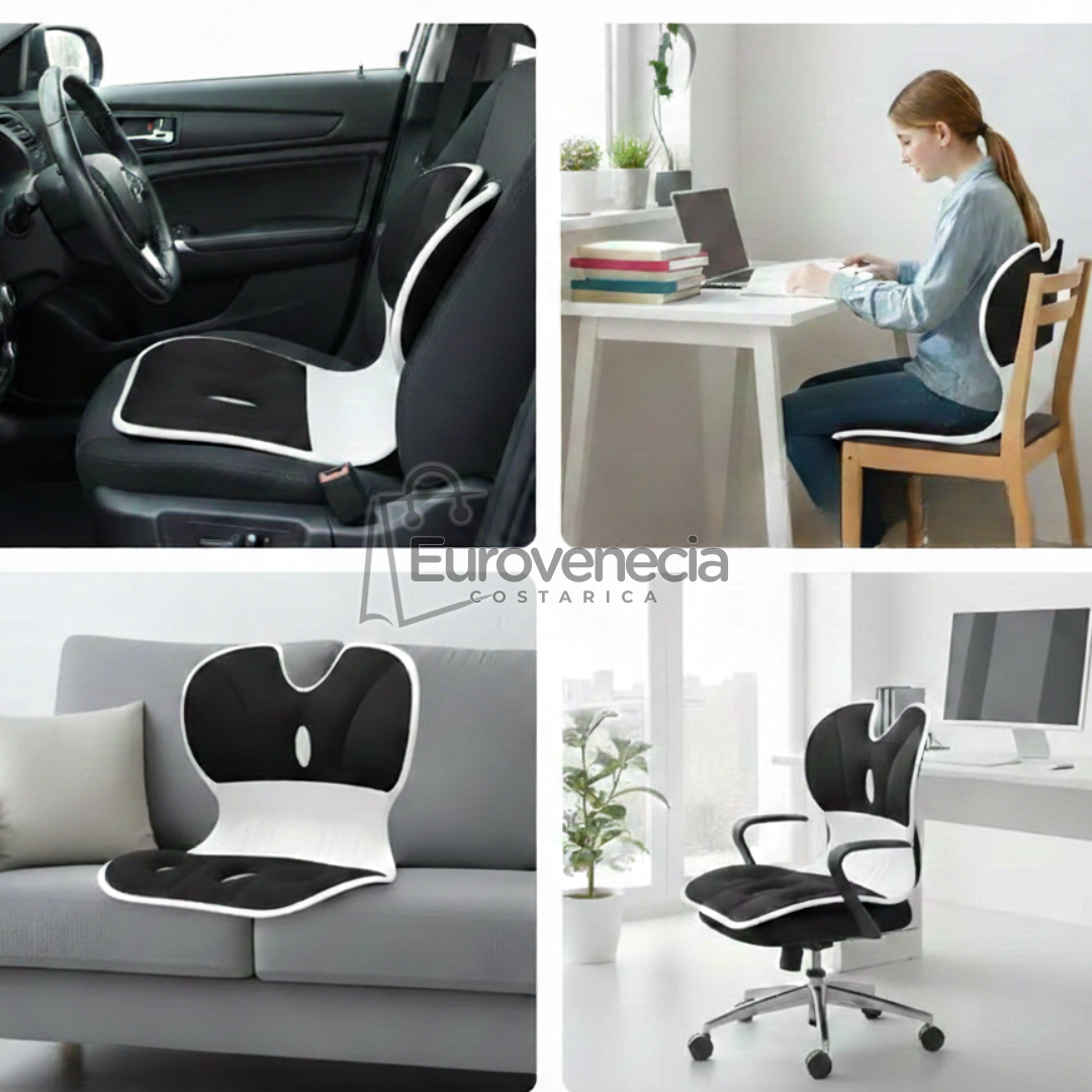 𝐀𝐬𝐢𝐞𝐧𝐭𝐨 𝐄𝐫𝐠𝐨𝐧𝐨𝐦𝐢𝐜𝐨 𝐜𝐨𝐧 𝐒𝐨𝐩𝐨𝐫𝐭𝐞 𝐋𝐮𝐦𝐛𝐚𝐫