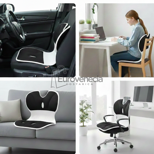 𝐀𝐬𝐢𝐞𝐧𝐭𝐨 𝐄𝐫𝐠𝐨𝐧𝐨𝐦𝐢𝐜𝐨 𝐜𝐨𝐧 𝐒𝐨𝐩𝐨𝐫𝐭𝐞 𝐋𝐮𝐦𝐛𝐚𝐫